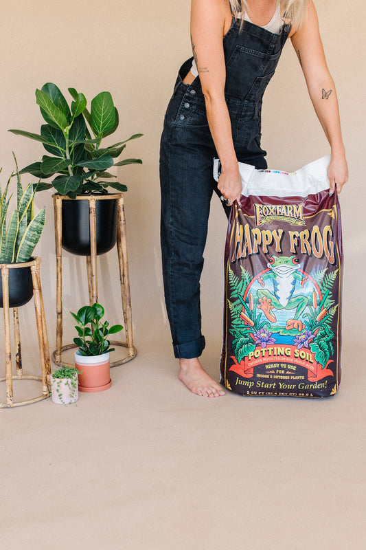 When is the Best Time to Repot Your Green Companions?