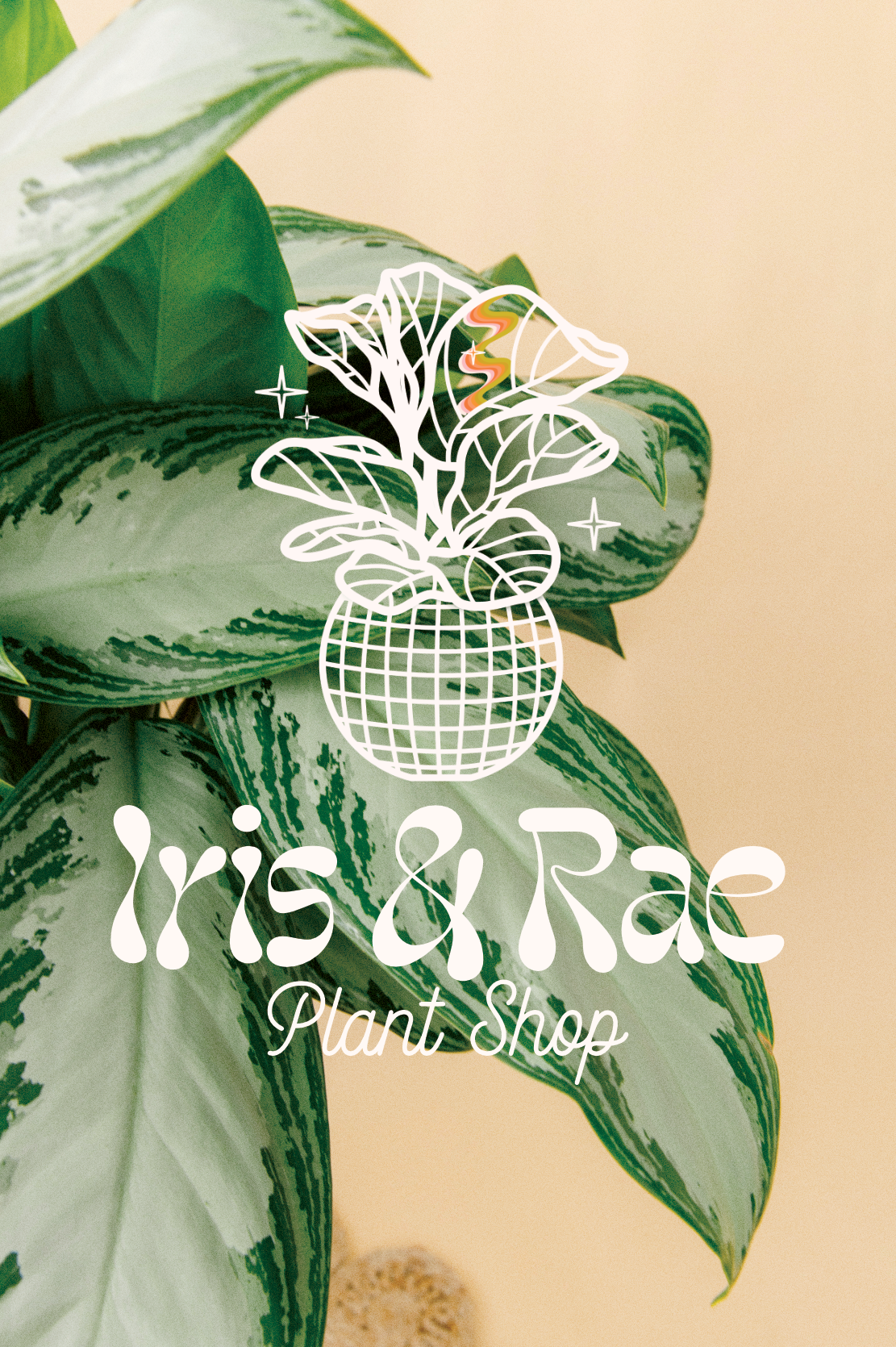 Iris & Rae Gift Card